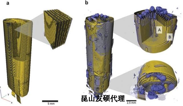 蔡司X射线显微镜